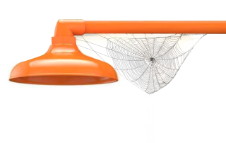 Orange safety shower with a spider web hanging from the pipe against a white background.